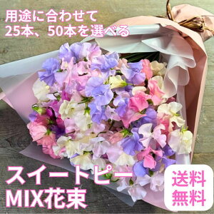 �y���ʌ���z�t���O�����X�t�����[ �X�C�[�g�s�[MIX�u�[�P ���� �ԑ� �u�[�P �a���� �v���[���g ���� �� �e �c�� ���� �ސE�j�� ���Əj�� ��N ���ʉ� �����} �����j�� ���c�j�� ������� �~