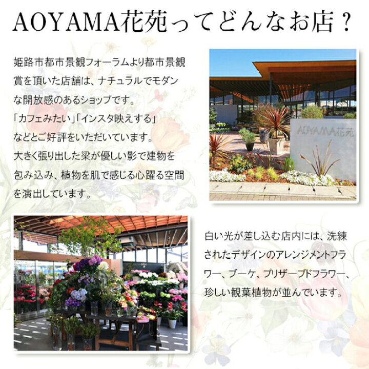 楽天市場】大輪の白ユリの洋風お供え生花アレンジメント お供え お悔やみ 花 百合 贈り物 法事 お供え物 お盆 喪中見舞い お供え 花 故人 フラワーアレンジメント 命日 一周忌 三回忌 花 初七日 四十九日 法要 お花 ペット 枕花 仏花 供花 仏事 弔花 献花 お供え 花 お彼岸 : 楽天市場】大輪の白ユリの洋風お供え生花アレンジメント お供え お悔やみ 花 百合 贈り物 法事 お供え物 お盆 喪中見舞い お供え 花 故人 フラワーアレンジメント 命日 一周忌 三回忌 花 初七日 四十九日 法要 お花 ペット 枕花 仏花 供花 仏事 弔花 献花 お供え 花 お彼岸 :