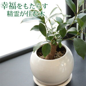  Iׂ  ϗtA ~j K炷삪Zޖ KW}̖ yy~A A av[g j  c  N ސEj  a ܂ 蕨