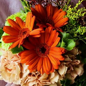 ԑ  Iׂ ̂܂܏X^hu[P   Mtg a v[g   e c FB a LO  j  j t[Mtg ސEj ʉ