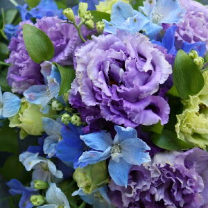 ԑ  Iׂ ̂܂܏X^hu[P   Mtg a v[g   e c FB a LO  j  j t[Mtg ސEj ʉ