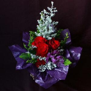 Gߌ ̂܂܏ԑ Vo[c[X^hu[P  NX}X v[g t[Mtg av[g  FB ޏ  o  a LO \ jyn