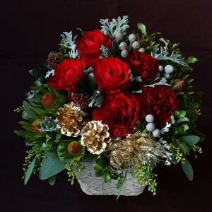 Gߌ Ȃ̃S[WXAWg@yNX}XWzyo NX}Xv[g  ޏ t[AWg  a v[g FB j  AW