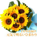 ひまわりの花束 ブーケ 生花 送料無料 花 誕生日 プレゼント 女性 母 祖母 フラワーギフト 結婚祝い 結婚記念日 妻 送別会 定年 退職祝い 男性 発表会 お祝い お誕生日 お見舞い 退院祝い 快気祝い お花 おしゃれ【メッセージカード付 あす楽 日時指定】