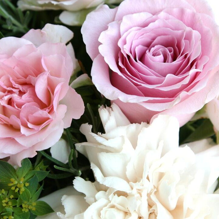 楽天市場 生花 フラワーアレンジメント バラとローズマリーのアレンジメント おしゃれ アレンジメントフラワー 誕生日 プレゼント 女性 女友達 母 祖母 ギフト お花 お誕生日 お祝い 定年 退職祝い フラワーギフト 結婚祝い 結婚記念日 両親 妻 メッセージカード付き 楽天市場 生花 フラワーアレンジメント バラとローズマリーのアレンジメント おしゃれ アレンジメントフラワー 誕生日 プレゼント 女性 女友達 母 祖母 ギフト お花 お誕生日 お祝い 定年 退職祝い フラワーギフト 結婚祝い 結婚記念日 両親 妻 メッセージカード付き