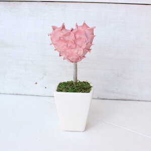 vU[uht[  n[ggsA[ o   ZX̂ a v[g  FB   ޏ t[Mtg LO uU[ht[ AW