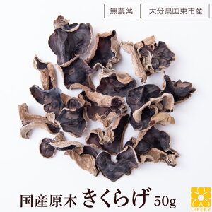 炰 Y 50g ؍͔| R͔| _ 炰 LNQ S S ̂ ̂ ؎ hCt[Y  炰 LNQ ̂ ؎ ؐH 