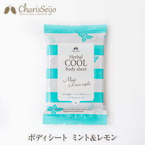 汗拭きシートの通販 価格比較 価格 Com