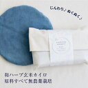 玄米 カイロ 月の巡り 和 ハーブ 玄米カイロ よもぎ 月桃 藍 生姜 安眠 オーガニック 漢方 妊活 温活 お腹 冷え取り ひえとり 繰り返し 足 腰 レンジ かわいい 良い香り 冬 肩 肩甲骨 温め 温める グッズ 冷え対策 ゆたんぽ フェムテック ギフト プレゼント