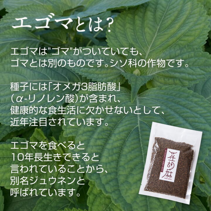 楽天市場 オーガニック 国産 えごま 100g 送料無料 無農薬 無肥料 エゴマ 荏胡麻 スーパーフード 自然栽培 農薬不使用 無添加 綾町 腸内環境 腸 免疫 日本製 A リノレン酸 必須脂肪酸 食事 健康 美容 美肌 えごまの実 エゴマの実 健康食品 オメガ3脂肪酸 じゅうねん 伝統 楽天市場 オーガニック 国産 えごま 100g 送料無料 無農薬 無肥料 エゴマ 荏胡麻 スーパーフード 自然栽培 農薬不使用 無添加 綾町 腸内環境 腸 免疫 日本製 A リノレン酸 必須脂肪酸 食事 健康 美容 美肌 えごまの実 エゴマの実 健康食品 オメガ3脂肪酸 じゅうねん 伝統