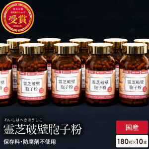 ŖEq 10{ Zbg jǗŖEq  JvZ 100% Y Ɖu lC Tvg pE_[ ꂢ  ˎ Eq  VR -D-OJ x[^OJ jǊ {   