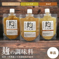 塩麹 無添加 塩こうじ 食品添加物不使用 単品 190g 玉ねぎ麹 自然栽培 にんにく しょうが たまねぎ 無農…