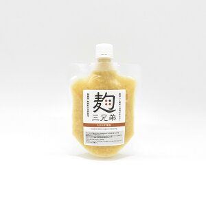 塩麹 無添加 塩こうじ 食品添加物不使用 単品 190g 玉ねぎ麹 自然栽培 にんにく しょうが たまねぎ 無農薬 無肥料 農薬不使用 綾町 腸 免疫 オーガニック スーパーフード チューブ パウチ 安心