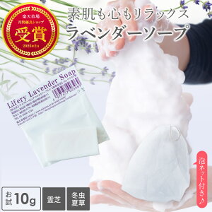  ~đ x_[ \[v 10g@ Aălbg Zbg  r x_[Ό \[v  ΂ Ō`Ό Ό Y F_[ Aălbg l