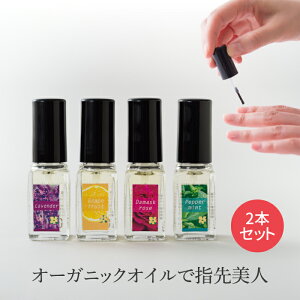 lCIC  2{ Zbg }jLA^Cv I[KjbNIC AKICz [Y x_[ O[vt[c yp[~g lC IC   C et PA o 