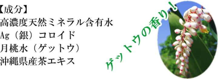 Amazon.co.jp: スプレー1本と詰替えパック2本 室内用「不快な