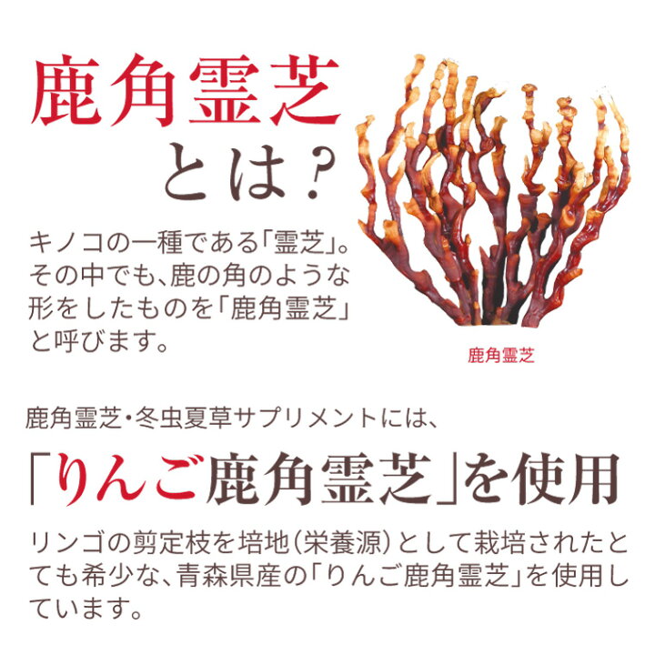 楽天市場】鹿角霊芝 冬虫夏草 サプリメント 約30日分 健康食品 無添加 