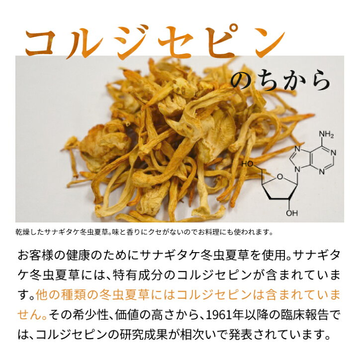 ポイント10倍 鹿角霊芝 冬虫夏草 サプリメント 約30日分 健康食品 無添加 国産 人気 木村秋則 奇跡のリンゴ れいし 霊芝 靈芝 錠剤 粒状 天然 菌 免疫 β-グルカン β-D-グルカン βグルカン ベータグルカン 霊芝サプリ レイシ 菌活 疲れ 肝臓 花粉 健康 霊芝 ... 生涯で貫く!鹿鞭高麗人参蛹虫草 精力男性増強サプリメント絶倫漢方剤