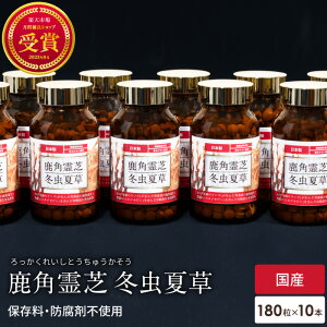 p ~đ Tvg 10{ Zbg NHi Y Y lC ؑH Ղ̃S ꂢ  ˎ   VR  Ɖu -OJ OJ x[^OJ ŃTv 