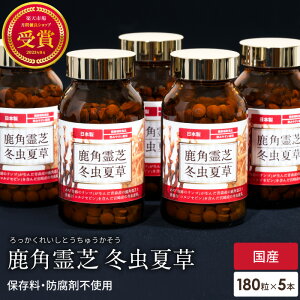 p ~đ Tvg 5 Zbg NHi Y Y lC ؑH Ղ̃S ꂢ  ˎ    Ɖu ԕ ΍ -D-OJ OJ x[^OJ Mtg 