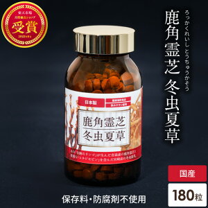 p ~đ Tvg 30 NHi Y Y lC ؑH Ղ̃S ꂢ    VR Ɖu -OJ -D-OJ OJ x[^OJ ŃTv