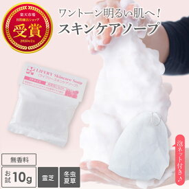 霊芝 冬虫夏草 スキンケアソープ ミニサイズ と 泡立てネット お試しセット 洗顔 石鹸 ソープ せっけん 洗顔石けん 固形石鹸 固形石けん 洗顔石鹸 無添加 無香料 石鹸ネット 洗顔ネット 肌に優しい 化粧品 弱アルカリ性 トライアル