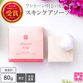 固形石けん 洗顔石けん 霊芝 冬虫夏草 スキンケアソープ 80g 泡ネット付 毛穴ケア 弱アルカリ性 洗顔 石鹸 ソープ せっけん 固形石鹸 洗顔石鹸 ボディーソープ 朝洗顔 洗顔料 無添加 無香料 温泉水 角栓 毛穴 角質 泡 美容
