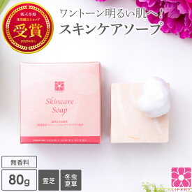 固形石けん 洗顔石けん 霊芝 冬虫夏草 スキンケアソープ 80g 毛穴ケア 角質に! 日本製 靈芝洗顔 ハリ うるおい 美容 石鹸 ソープ せっけん 固形石鹸 洗顔石鹸 洗顔 ボディーソープ 洗顔料 無添加 無香料 無着色 温泉水 ギフト プレゼント