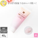 オールインワンジェル 霊芝 冬虫夏草 スパクリーム SPAクリーム 40g アスタキサンチン 化粧品 ローズ 精油 たるみ オールインワン オールインワンゲル 温泉水 年齢肌 保湿ジェル 保湿 ギフト プレゼント ダマスクローズ 持ち運び 旅行 ウォータークリーム 温泉