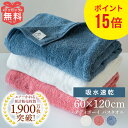 エアーかおる バスタオル 今治 タオル 単品 ダディボーイ 浅野撚糸 60×120cm バス 汗 髪 顔 誕生日プレゼント ギフト プレゼント えあーかおる おしゃれ 日本製 国産 福島 双葉町 復興 たおる ふわふわ カンブリア宮殿 スーパーゼロ 吸水 速乾 お中元 人気
