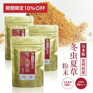 yVX[p[SALE 10OFF ~đ 3 Zbg e30g Tvg  100 YȂ NHi {Y Y Y _ lC Tv pE_[  VR Ɖu ΍ AMj x[^OJ