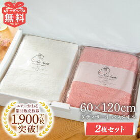 2枚 セット 吸水 速乾 エアーかおる バスタオル 今治 タオル ダディボーイ 浅野撚糸 バス 肌 誕生日 プレゼント ギフト えあーかおる おしゃれ 日本製 国産 たおる ふわふわ まとめ買い まとめ売り 正規品 復興 双葉 カンブリア宮殿 スーパーゼロ お中元 人気