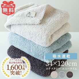 エアーかおる エニータイム タオル 単品 1枚 34×120 cm XTC エクスタシー 浅野撚糸 バスタオル フェイスタオル 赤ちゃん ギフト プレゼント えあーかおる 快気祝い 誕生日 内祝い 福島 カンブリア宮殿 たおる ふわふわ 復興 双葉 スーパーゼロ 人気