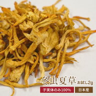 日本産 冬虫夏草 お試し 2-3回分 子実体 乾燥 乾燥きのこ サナギタケ 健康食品 無添加 ベータグルカン β…