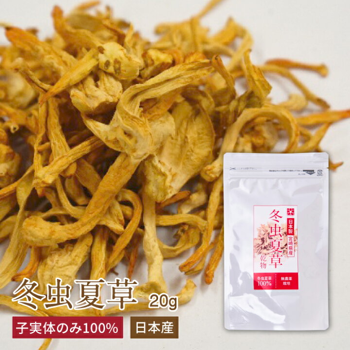 楽天市場】冬虫夏草 コルジセピン 子実体 20g サナギタケ 健康食品 