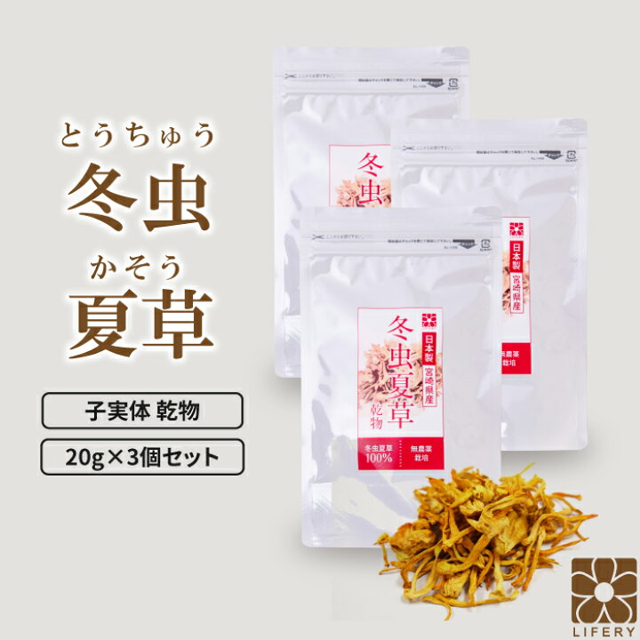 楽天市場】3袋セット 冬虫夏草 子実体 サナギタケ 健康食品 日本製 