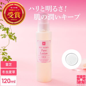  ~đ sA[V ϐ [Y x_[  ێ ې XLPA ێXLPA Mtg v[g 邳 n e L ь u[X^[ et p  GCW