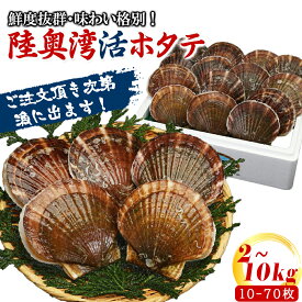 【マラソンクーポン】ホタテ 殻付き 生食 活ほたて 2〜10kg 青森 刺身 生食 BBQ バーベキュー お中元 父の日 帆立 ほたて 食材 海鮮 貝 父の日 お中元 お歳暮 御歳暮 注文頂き次第漁に出ます れいたす