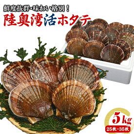 【10%OFFクーポンスーパーSALE限】【解禁!!】ホタテ 殻付き 生食 活ほたて 2～10kg 青森 刺身 生食 BBQ バーベキュー お中元 父の日 帆立 ほたて 食材 海鮮 貝 父の日 お中元 お歳暮 御歳暮 注文頂き次第漁に出ます れいたす