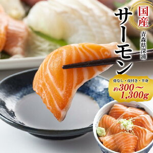 Y T[ 300`1400g Ⓚ XY  `^^u qi Mtg 蕨yEz ̓  Ε Ε ꂢ