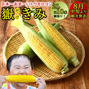 yX[p[SALE!!zy9/7tIzƂ낱 Ԃ Yn Ԃ 10{ gERV b id450gj 2LTCY 7萏͂ XY Ƃ낱 Ε Ε ꂢ 