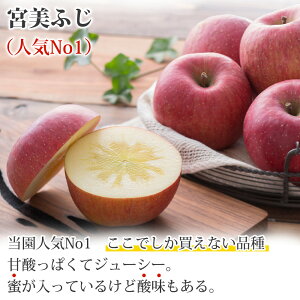 Iׂ XY   _ƒ  gL OOӂ VimXC[g ܖ ̋ tƂ炸ӂ {ӂ VimS[h WiS[h Tӂ 1.5kg 5kg 10Kg 4`48ʓ