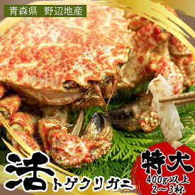 活トゲクリガニ　野辺地産　特大 トゲクリガニ 約400g以上 オス3杯 送料無料 青森県 トゲクリ蟹 花見蟹 桜蟹 プロトン凍結 トゲクリカニ くりがに 蟹 かに カニ 食品 グルメ 通販 お取り寄せ 父の日 父の日ギフト 花見 お中元