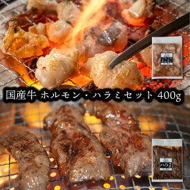 【早割クーポンで20%OFF】＼ランキング1位獲得／ハラミ もつ肉 ホルモン セット 各200g 計400g のセット 国産 牛 ハラミ タレ漬け 400g 焼肉 BBQ ハラミ肉 バーベキュー ホルモン もつ焼きホルモン 焼き 国産ハラミ【同梱L】 父の日 お中元 冷凍 お歳暮 御歳暮 れいたす