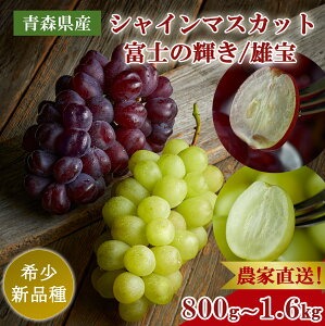 yXY 󏭂Ԃǂzxm̋P ubNVC}XJbg or Y Iׂ 800gi1[j/ 1.6kgi2[j[嗱 炲OK] VC}XJbgn Â Mtg ƒp Yn ① 