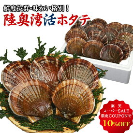 【10%OFFクーポンスーパーSALE限】【解禁!!】ホタテ 殻付き 生食 活ほたて 2～10kg 青森 刺身 生食 BBQ バーベキュー お中元 父の日 帆立 ほたて 食材 海鮮 貝 父の日 お中元 お歳暮 御歳暮 注文頂き次第漁に出ます れいたす