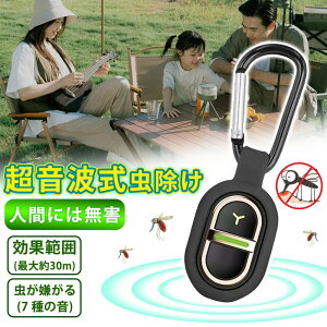 y[zg ^悯  悯 g LEDCg RZg RpNg 悯 ^ É ItBX  q LEDCgt Q΍  쏜  Q  RZ