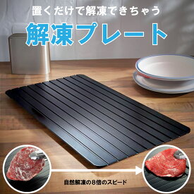 【P5倍】＼半額クーポン／ 解凍プレート まな板 粗熱 解凍トレイ 業務用 急速解凍 解凍板 解凍ツール 粗熱 肉 ホタテ 解凍まな板 自然解凍プレート冷凍食品 業務用家庭用 急速 食品解凍 肉 刺身 お祝いギフト 電気不要