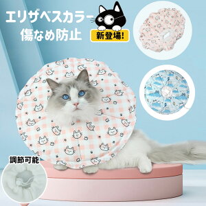 GUxXJ[ yzELzLp ^p p㏝ی  rߖh~ ~h~ y ʋC  ߉\@_炩  y ʋCyMEGANEKOz