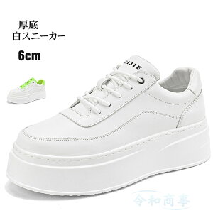 Xj[J[ Y Xj[J[ 6cmup j[J[ JWAV[Y   ʋC ~ ʋ ʊw